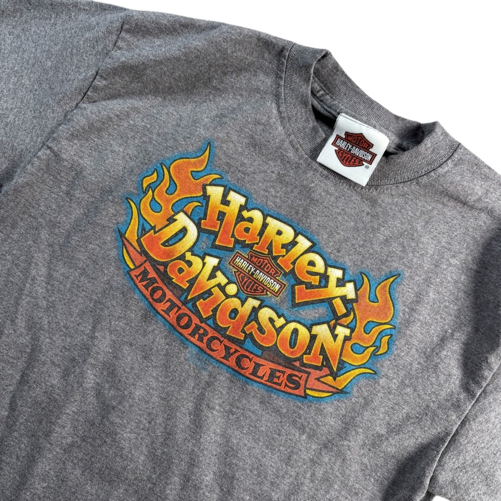 Harley Davidson Kids Gray Flame Graphic T-Shirt Denver CO Mile High  M 10-12 Y2K